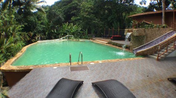 Have a jungle experience from the comforts of this picturesque property