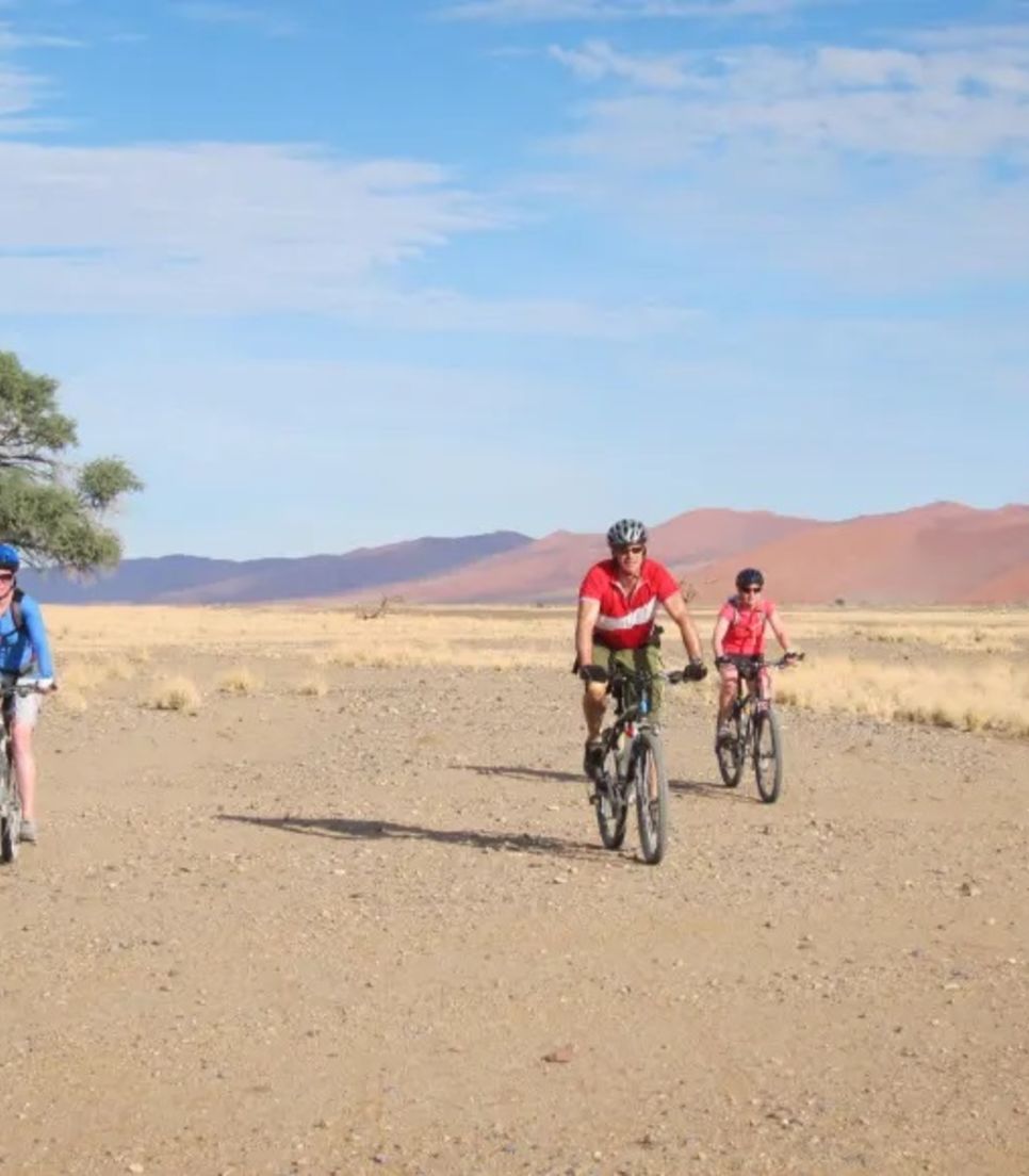 Slather on some sun cream and be amazed by the vast desert while cycling
