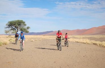 Group of cyclists in the desert