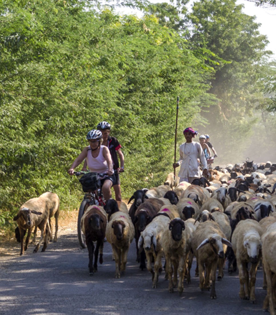 The terrain is generally flat with paved roads and the occasional sheep traffic