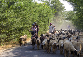 Cycling in Rajasthan