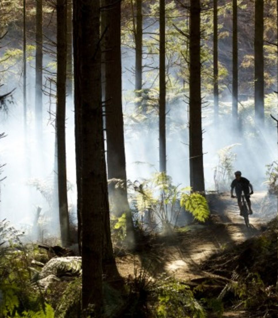 It's an awesome reality to ride the NZ singletracks