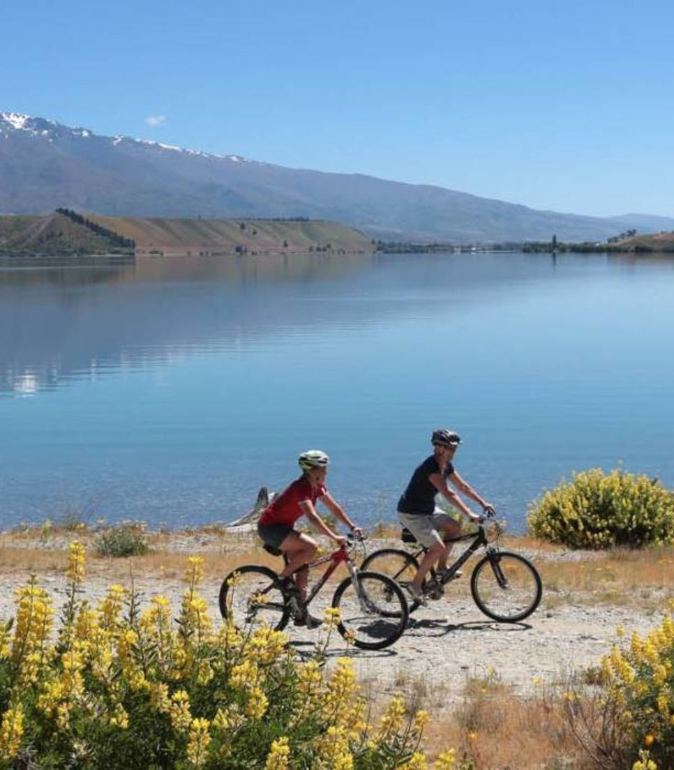 Discover the South Island by bike on this epic bike tour