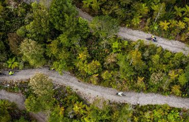 Aerial shot of woodland cycle trail