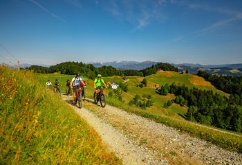 Slovenian Alps E-Bike Tour