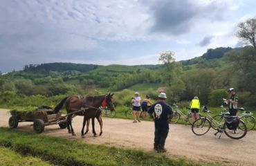Cyclists on a rural road with horse and cart