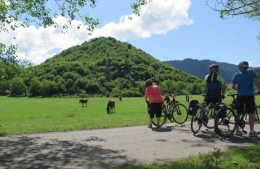 Cyclists by some ponies with green hills all around