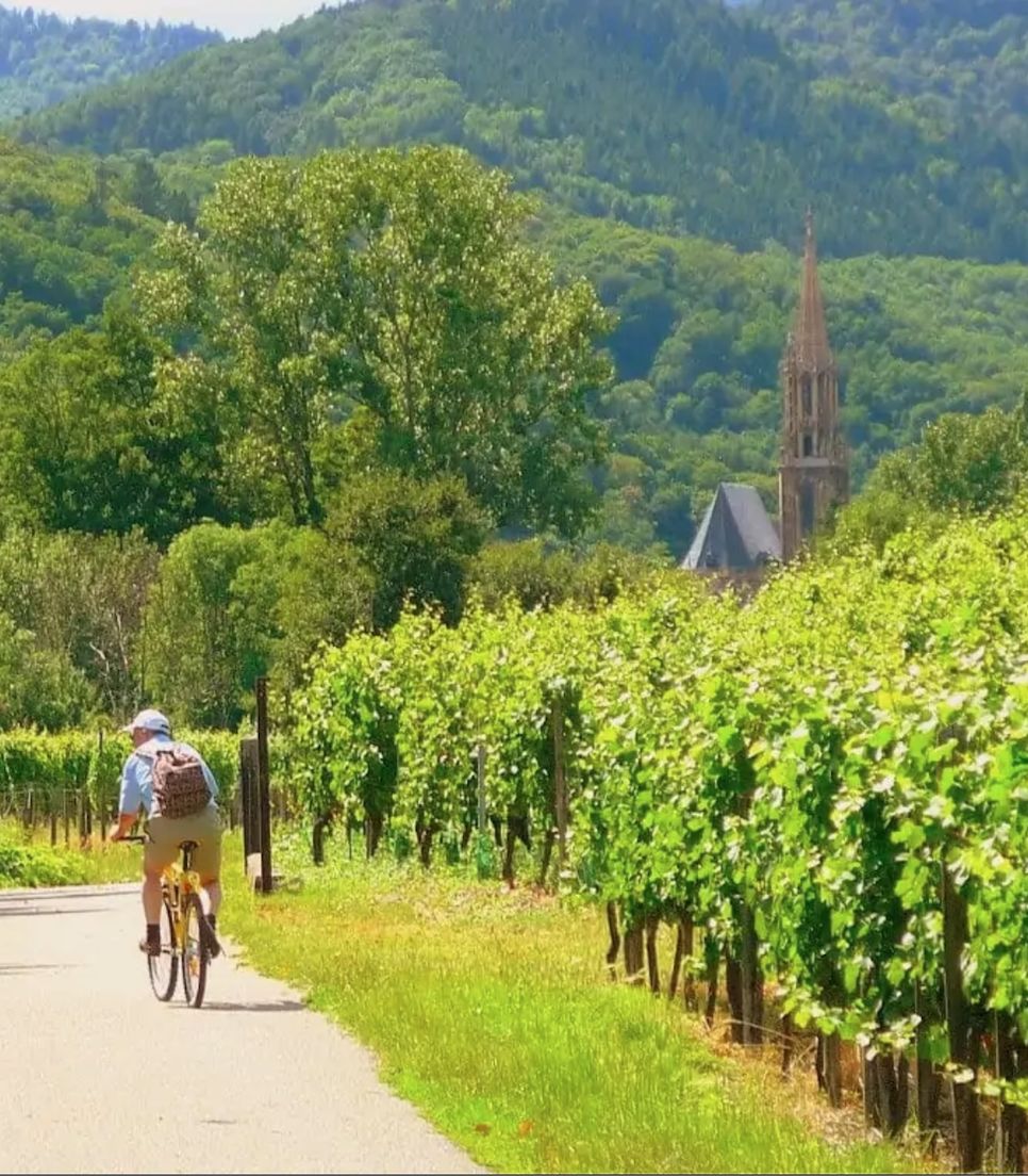 Join a wonderful journey through the Alsace region