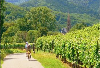 Cycling Tour Alsace