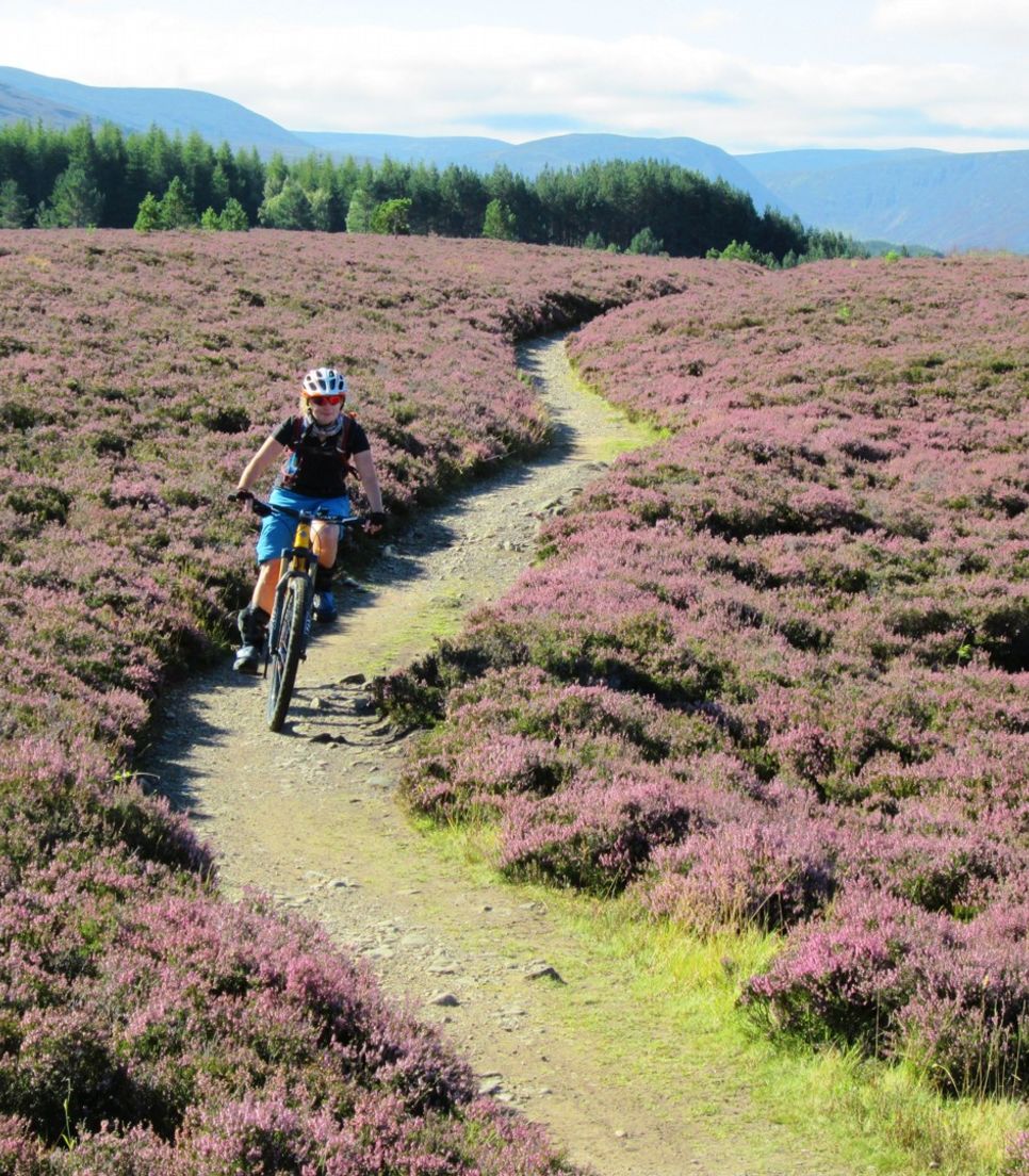 Travel the countryside by bike and fall in love with Scotland
