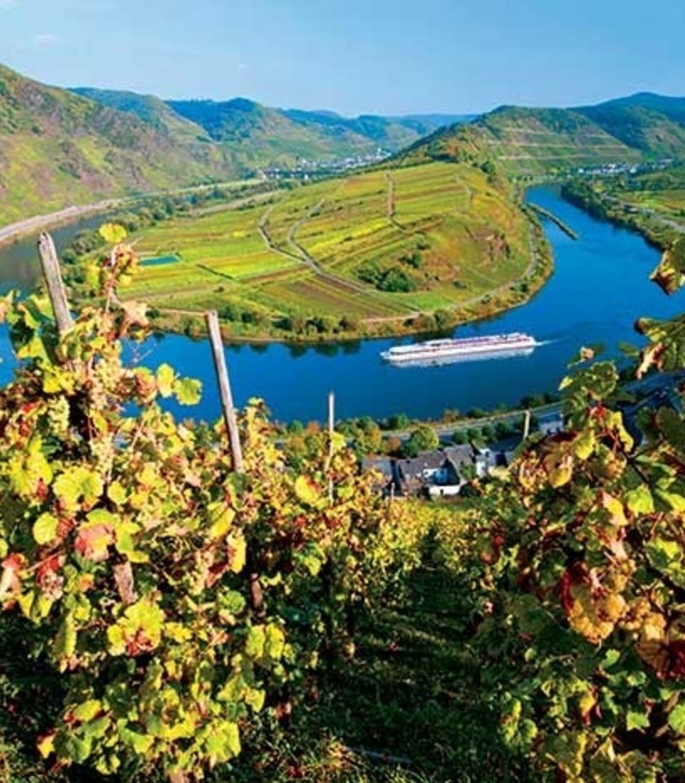 A visual feast as you cycle across four countries and the majestic Rhine River