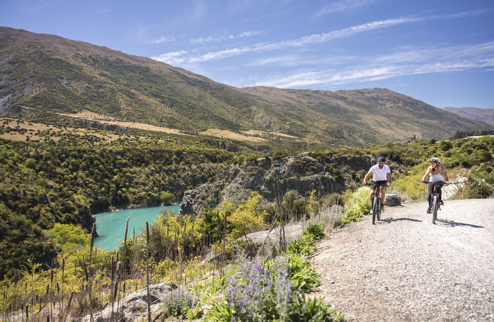 Bike the Wineries 3/4 Day Tour