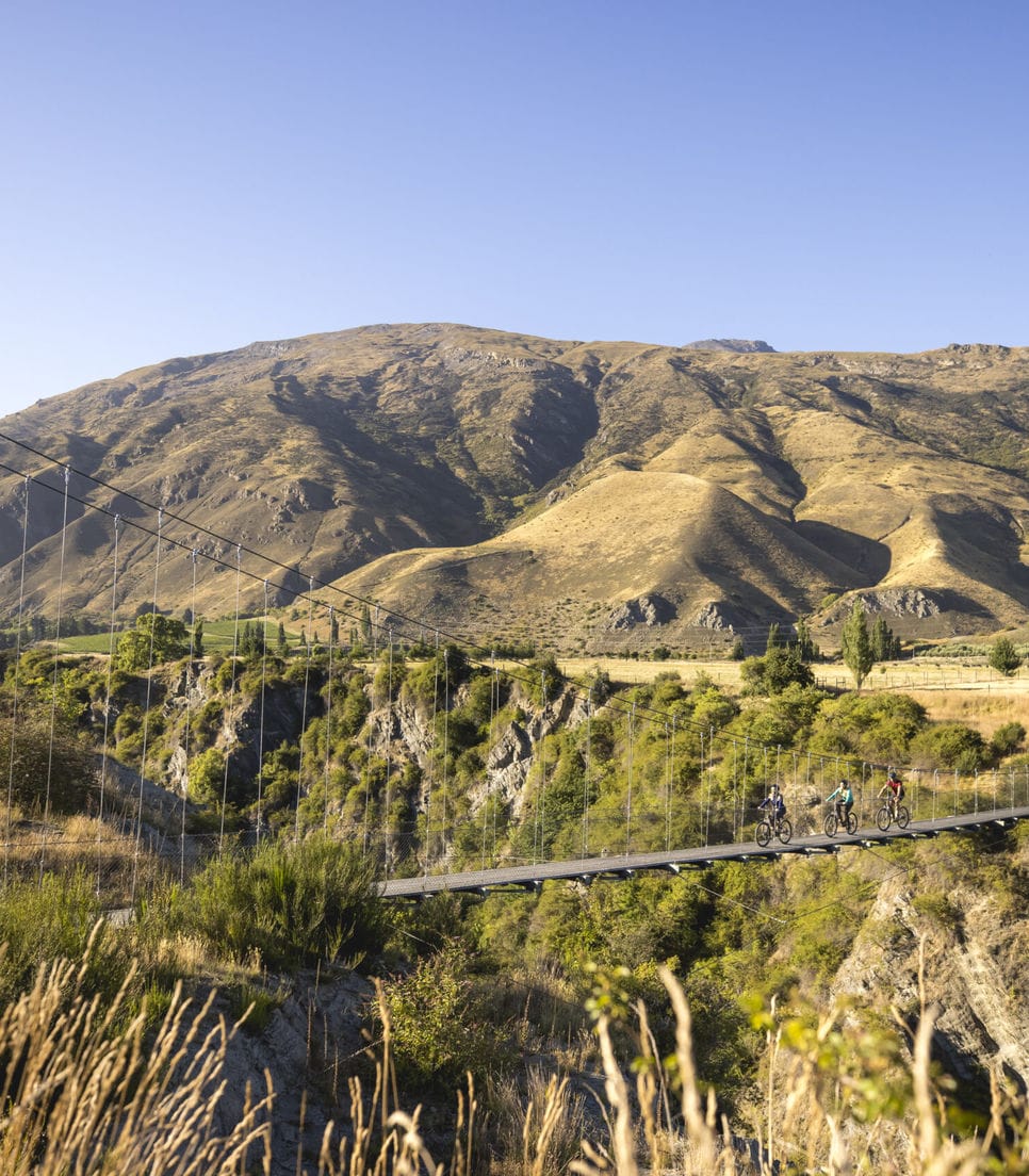 Take a day trip just outside of downtown Queenstown and explore the surrounding wine trail