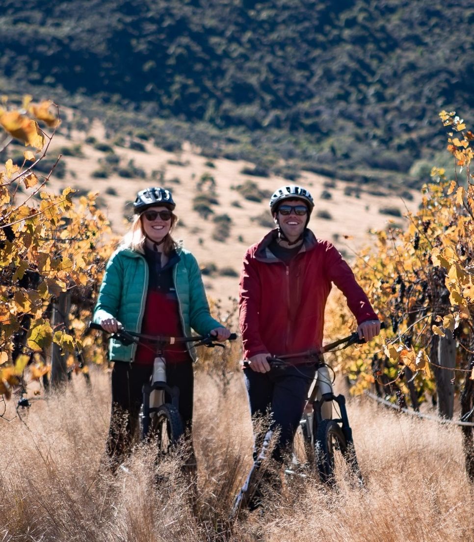 Bike tour Queenstown's wine region and savour the local flavours
