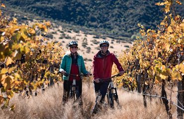 Couple of cyclists in the vines