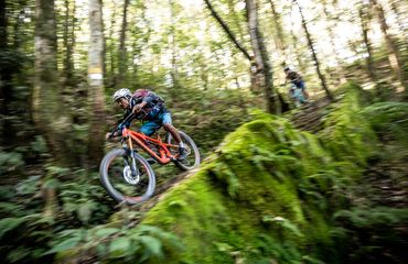 Mountain biker in the forest