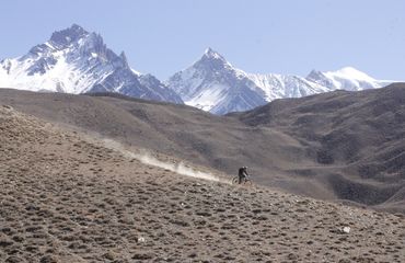 Mountain biker riding downhill