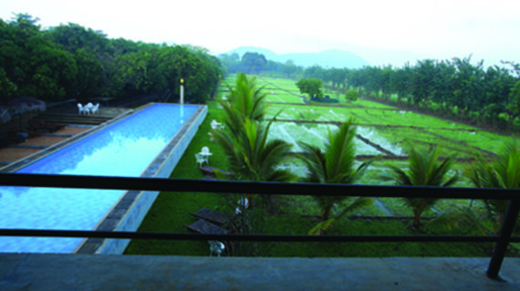 A relaxing resort nestled amidst mango groves and rice fields
