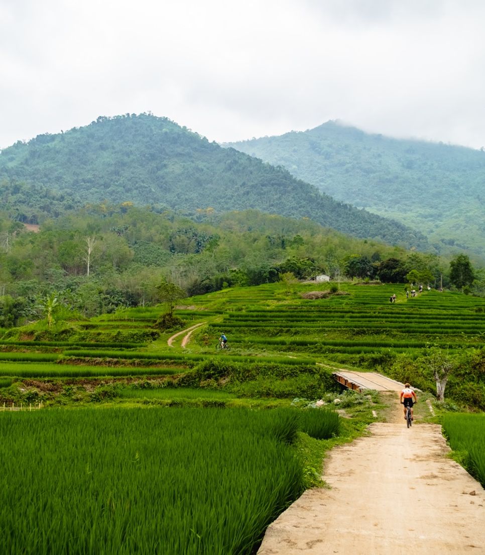 Cycle through the rice terraces of Northern Vietnam