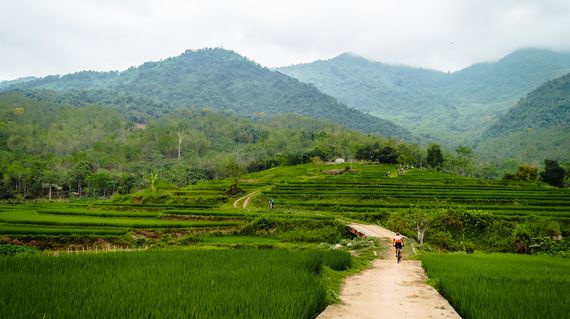 Cycle through the rice terraces of Northern Vietnam