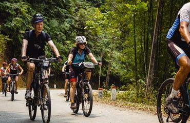 Group of cyclists on the road