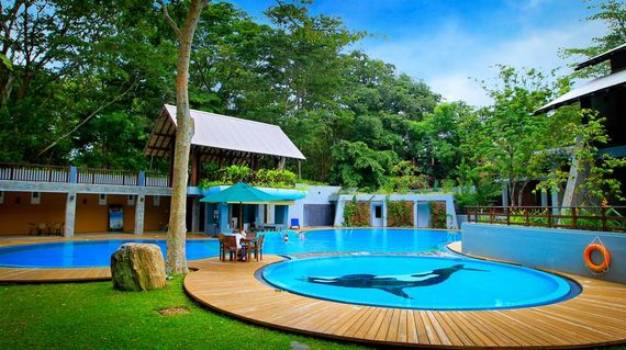 An environmentally friendly resort with cozy rooms and refreshing swimming pool