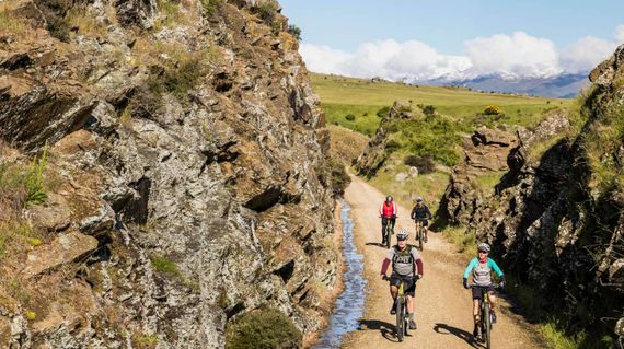 Enjoy exploring a varied array of the South Island's best trails on this unique tour