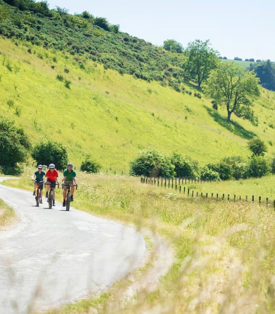 Explore this beautiful area from the back of a bike