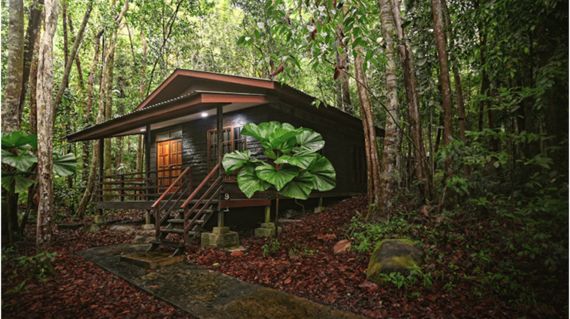 Stay in this beautiful eco resort next to the sea and bordered on two sides by protected rainforest