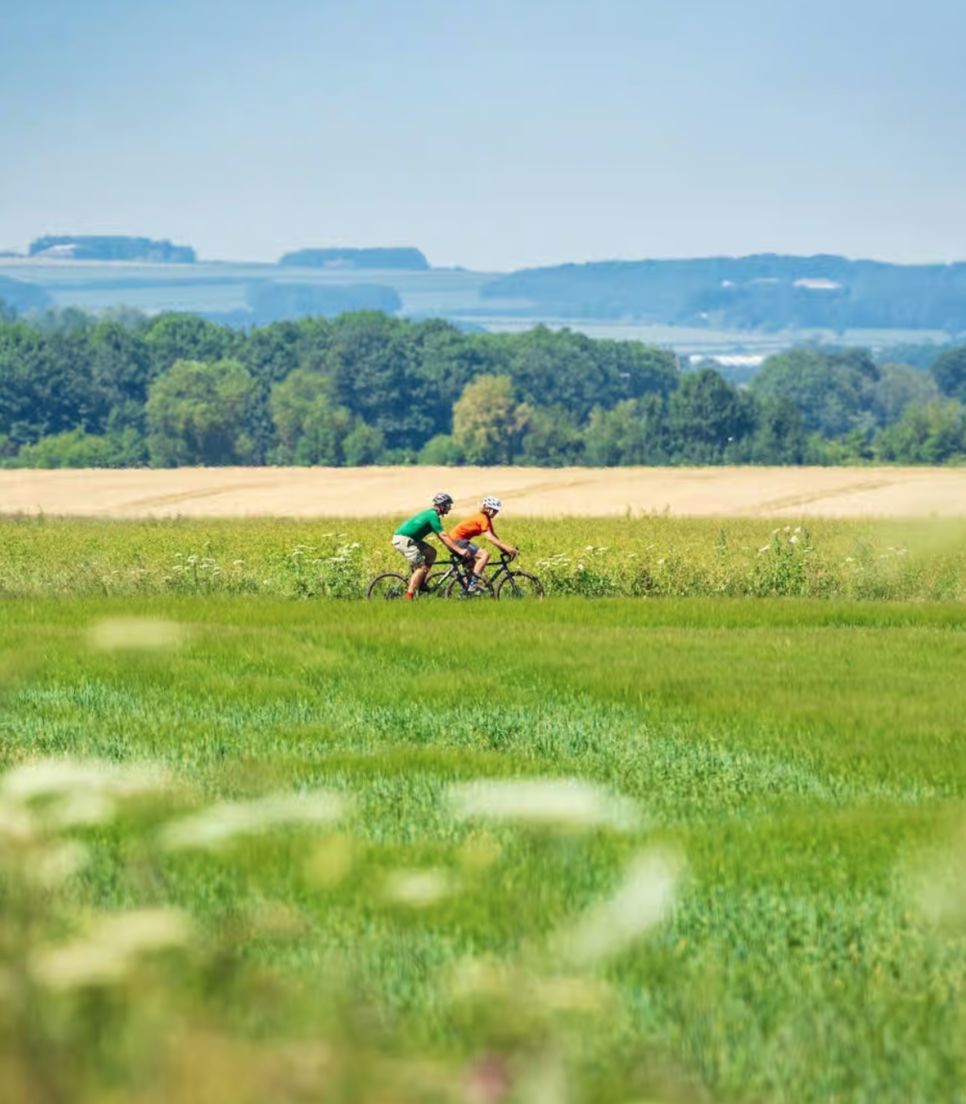 Enjoy a beautiful green tour with views galore