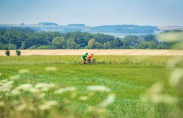 Cyclists riding through green fields