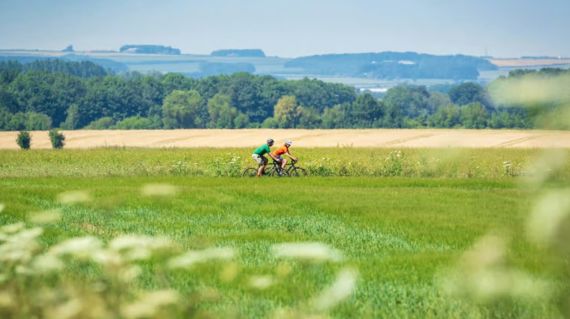 Enjoy a beautiful green tour with views galore