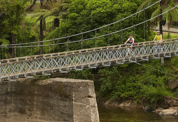 The Ultimate Hauraki Rail Trail Tour