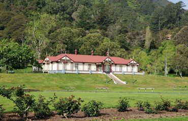 Traditional building set on a small hill with woods surrounding the back