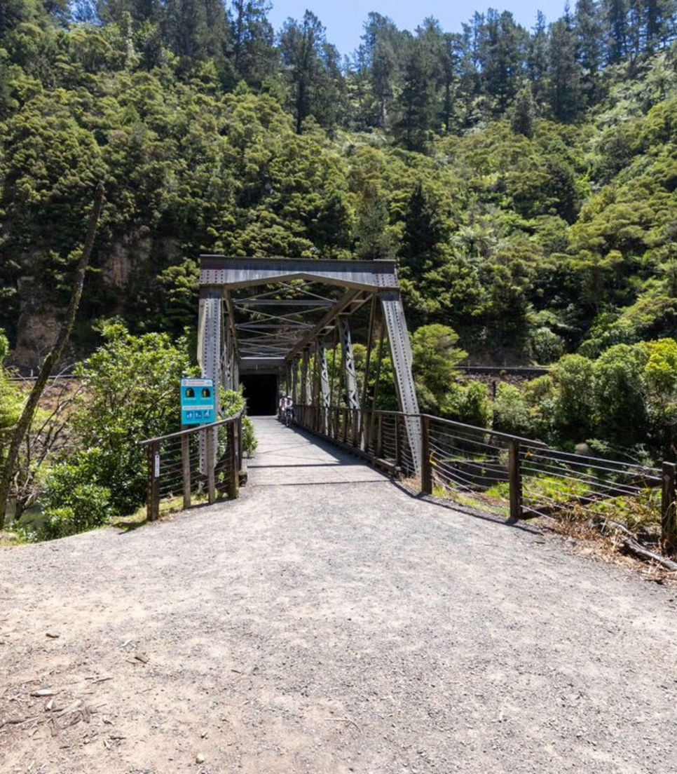 Take your loved ones on a fun and adventurous tour of the Hauraki Rail Trail