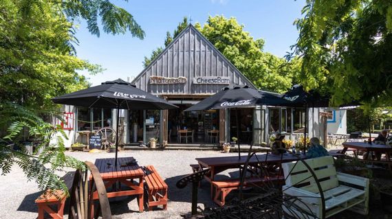 Have morning tea at the Matatoki Cheese Barn during your ride on day 2