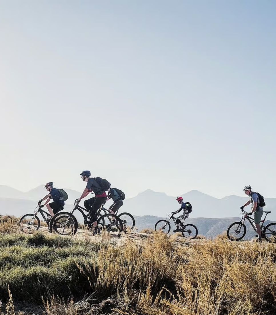 Ride with others on a friendly and thrilling MTB tour