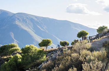 View of mountain and trees with cyclist riding down hill in distance