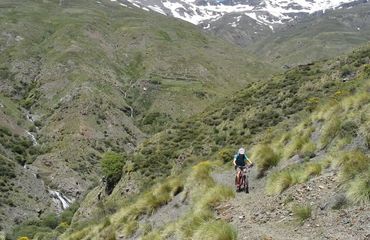 Cyclist on dusty mountain track with snow peaks in background