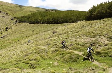 Cyclists on green rural track on hillside