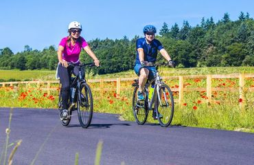 Cyclists riding on road past fields of flowers