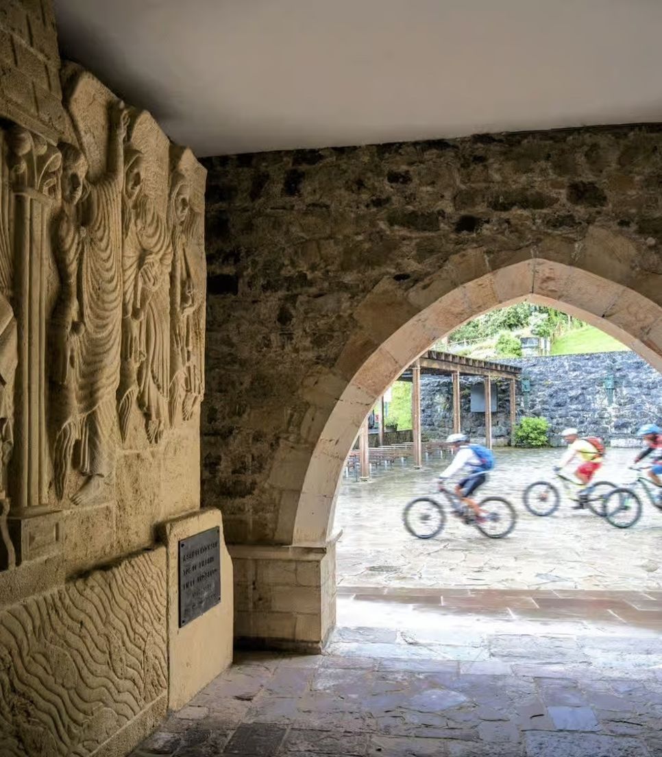 Experience an exciting MTB tour and historical sights