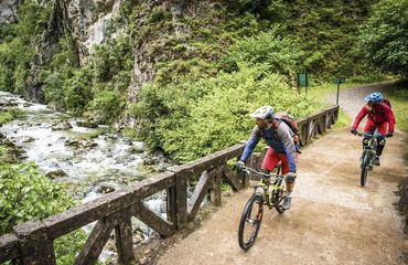 Cyclists crossing bridge across gorge