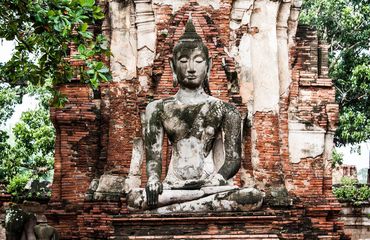 Buddha statue in dappled light