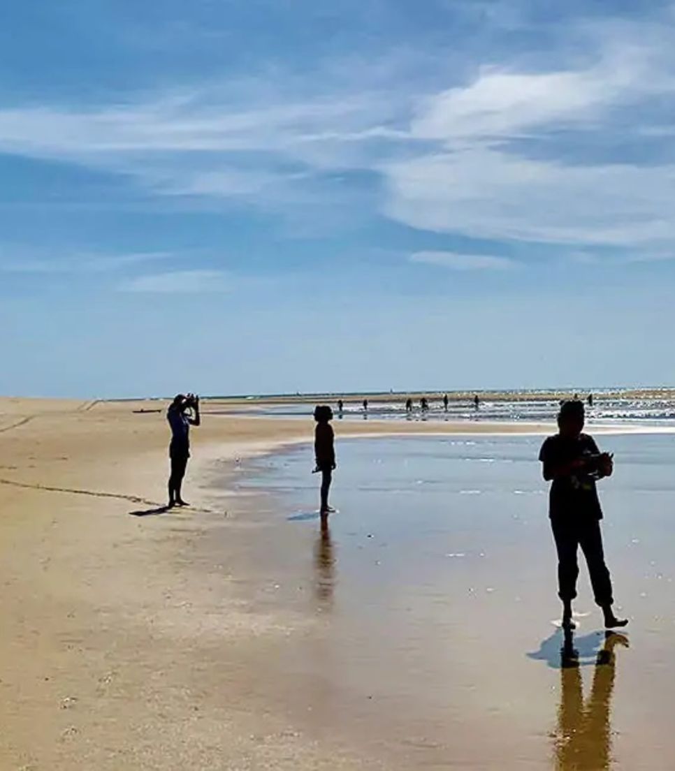 Wheels spinning, hearts racing—explore Algarve’s coastal treasures on a family bike tour