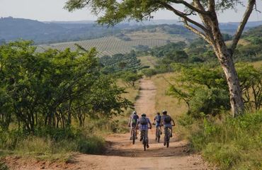  Cyclists riding on dirt road