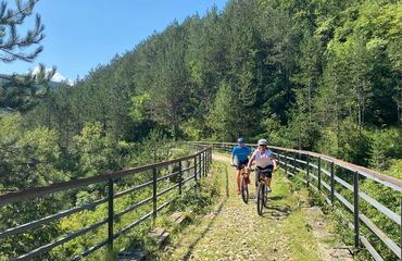 Couple riding on overgrown bridge