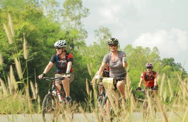 Group of cyclists riding with long grass in foreground