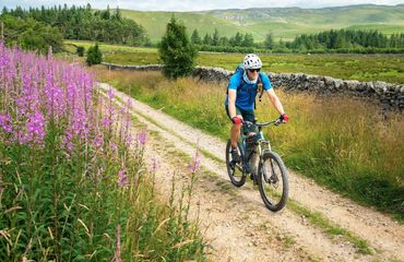 Cyclist riding along track by wildflowers