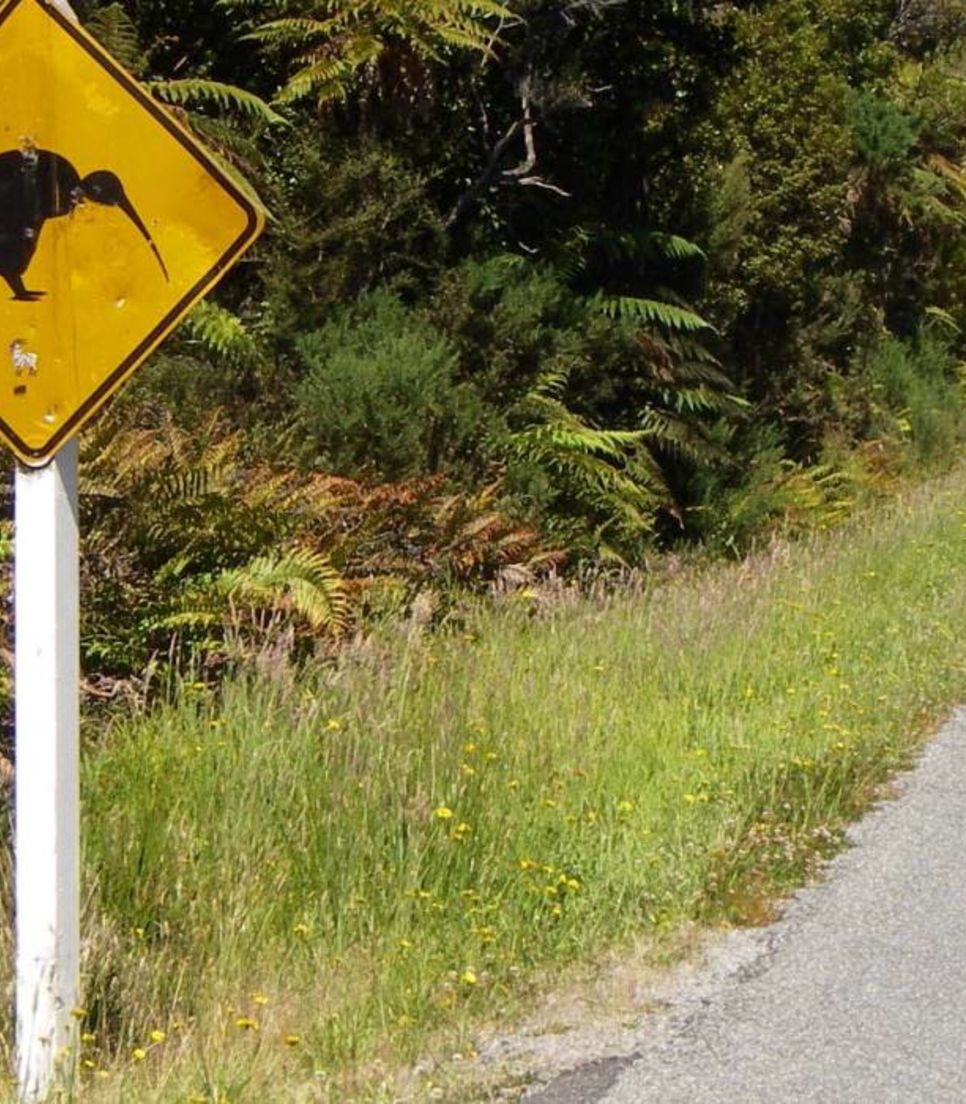 Enjoy a fantastic group guided tour of the South Island by bike